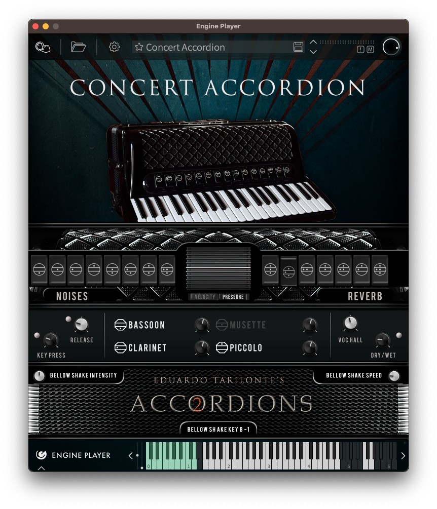 Accordion service store